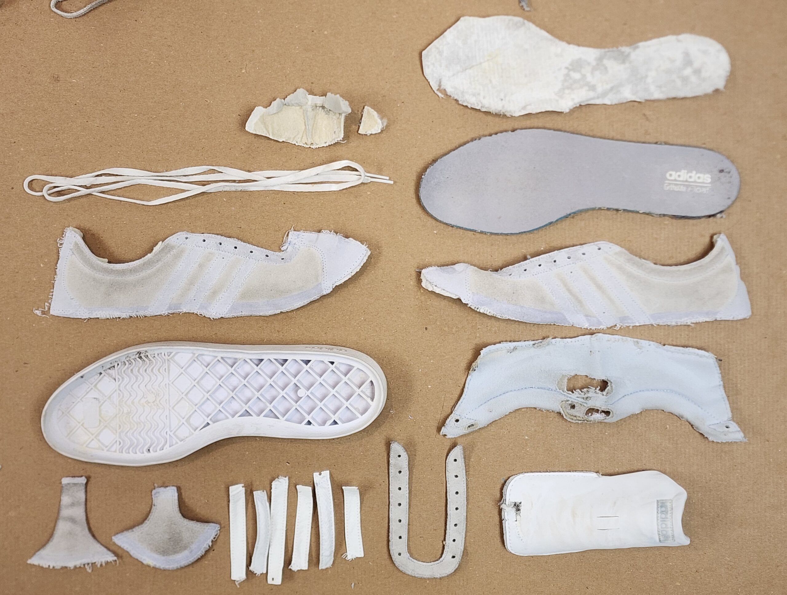 20241024_125048 20241024_125048